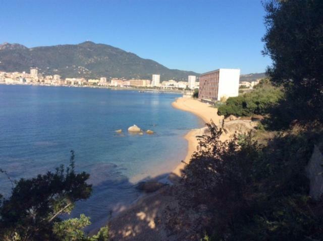 Villa D'Exception, Piscine, Vue Mer, Plage A 100M Ajaccio  Buitenkant foto