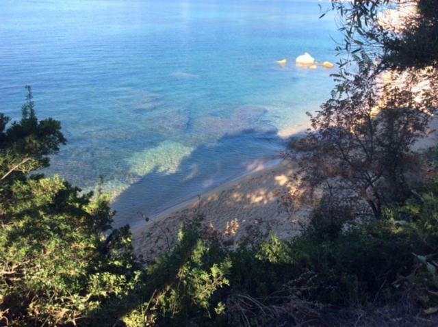 Villa D'Exception, Piscine, Vue Mer, Plage A 100M Ajaccio  Buitenkant foto